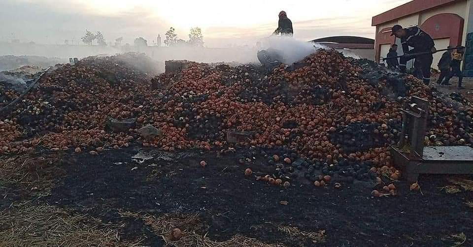 برشيد…توقيف عشريني للإشتباه في تورطه في قضية تتعلق بإضرام النار العمدي وإلحاق خسائر مادية بممتلكات الغير 1 IMG 20230210 WA0010