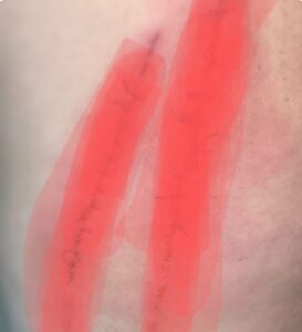 Screenshot 2023 02 18 22 51 38 76 965bbf4d18d205f782c6b8409c5773a4