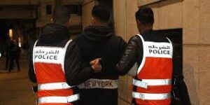 13de2d3629717b1942d3669d4054281d