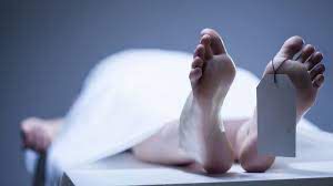 3ABCDC73 76B9 4C80 AB10 CE6BCC83DDC0