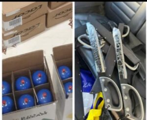 49DCE40F DC27 4D9B 99CB 00B247F58026