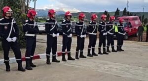 8105C1F2 57E2 4906 AB17 902BEA6E0D73