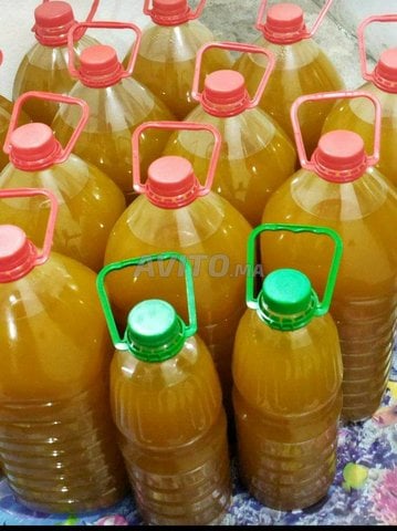 تازة: المحكمة الابتدائية تصدر حكمها في حق شبكة ترويج الزيوت المغشوشة. 1 IMG 20230310 WA0010