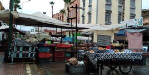 263733654 470559104484925 7900369760159087016 n