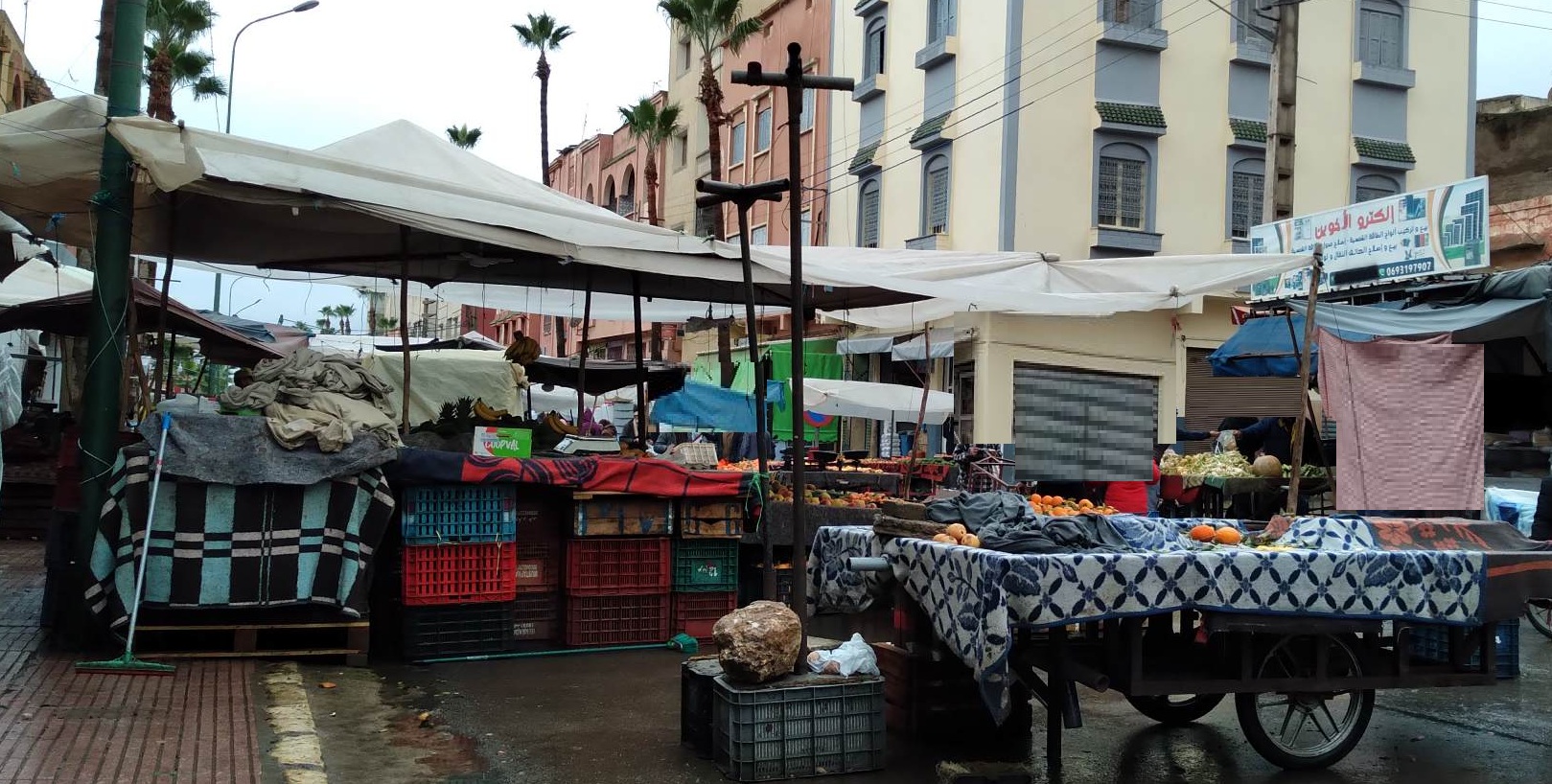 263733654 470559104484925 7900369760159087016 n