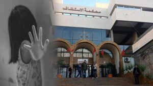 340064619 6060467514066293 6859479455060953530 n 1680809313