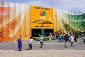 ezgif.com webp to jpg 1