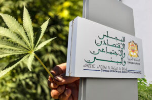 fed53771c5fbd8e4d5b67f9e60964bf1