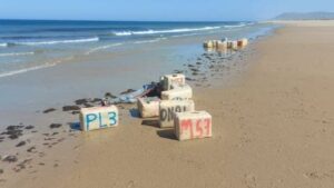 274758958 378651984010548 8992842451739020809 n