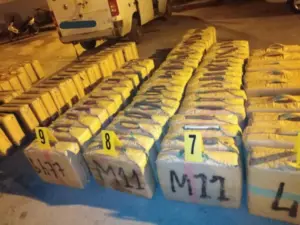 6133f2bc996ac 1024x768.jpg