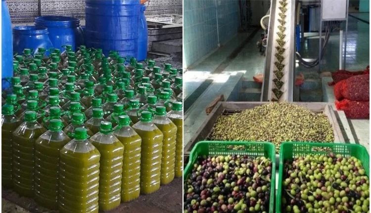 هل وزارة الفلاحة عاجزة عن مراقبة أسعار زيت الزيتون بعد تعدد الوسطاء والمضاربين 1 IMG 20231110 WA0089