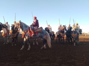 IMG-20231111-WA0046 3 IMG 20231111 WA0046