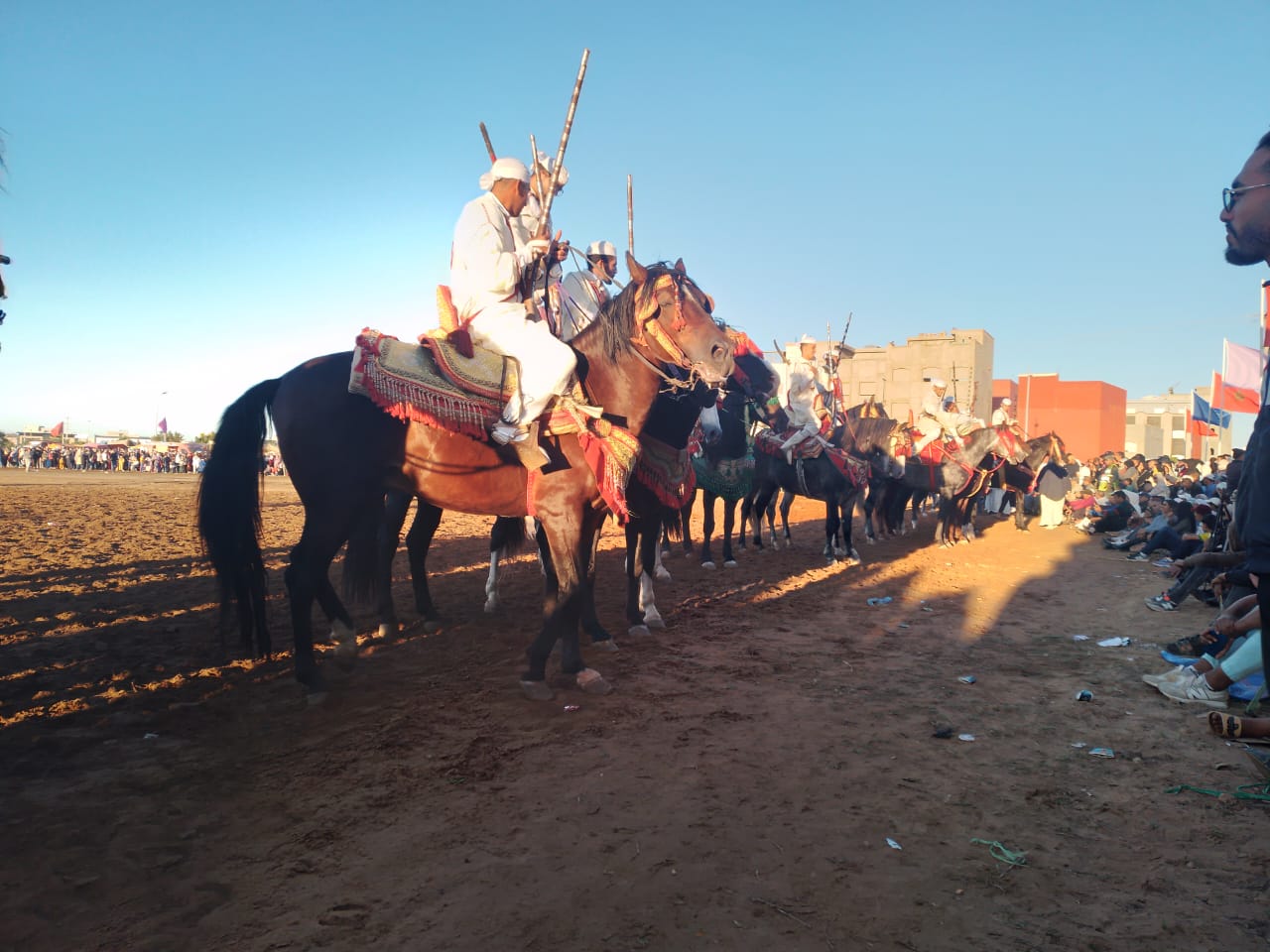 تيفلت..حضور وازن لعروض التبوريدة المنظمة من قبل فيدرالية تيفلت زمور. 14 IMG 20231111 WA0051