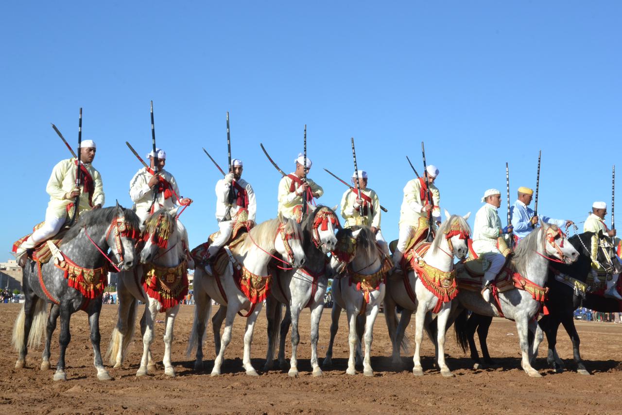 تيفلت..حضور وازن لعروض التبوريدة المنظمة من قبل فيدرالية تيفلت زمور. 24 IMG 20231113 WA0012