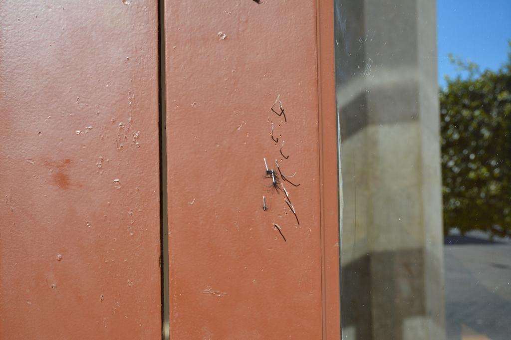 جمعية أمزيان تشتكي من احداث تغييرات بالمركب الثقافي للناظور 2 IMG 20231227 WA0004