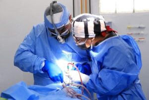 Screenshot_2023-12-01-08-19-14-91_a23b203fd3aafc6dcb84e438dda678b6 3 Screenshot 2023 12 01 08 19 14 91 a23b203fd3aafc6dcb84e438dda678b6