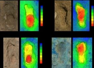 IMG 20240125 WA0009 1