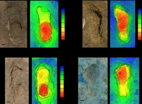 العرائش.. اكتشاف آثار أقدام بشرية عمرها أكثر من 90 ألف عام 1 IMG 20240125 WA0009 1
