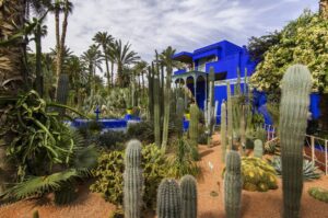 f783cd0dc03d54d1dfe23eaf8c40549d jardin majorelle