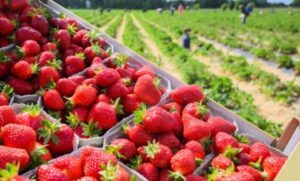 00 2 780x470 1 600x362 1