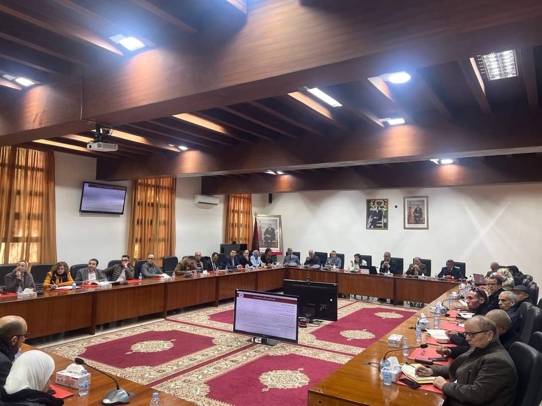 تطوان...دراسة المجلس الأعلى للتربية والتكوين والبحث العلمي حول واقع المجتمع المغربي والعنف المدرسيم بجهة طنجة تطوان الحسيمة 5 IMG 20240301 WA0030 1