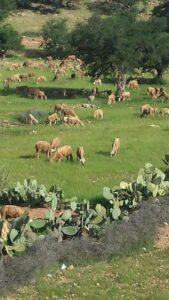 IMG 20240302 WA01191