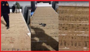 IMG-20240316-WA0008 3 IMG 20240316 WA0008 1