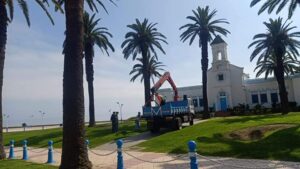 1000035952 3 1000035952