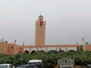 1000056337 3 1000056337