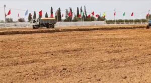 1000056476 3 1000056476