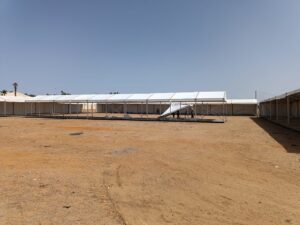 1000056525 3 1000056525