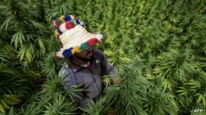 000_364K67M_1724098358 3 000 364K67M 1724098358