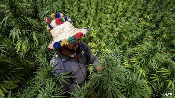 000 364K67M 1724098358