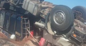 IMG 20240816 090937 750 x 400 pixel