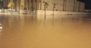 IMG 20240819 091524 750 x 400 pixel