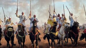 1000113790 3 1000113790