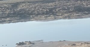 1000166132 3 1000166132