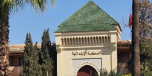 IMG 20250317 WA00551