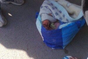 adf69ae0 cd66 4aee b740 74b2a61b18cf