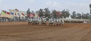 1000206312 3 1000206312