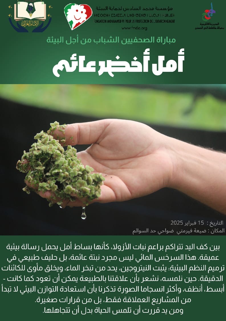 أمل أخضر عائم 1 6e81b631 16e5 4b05 9fe5 0040a52c181d