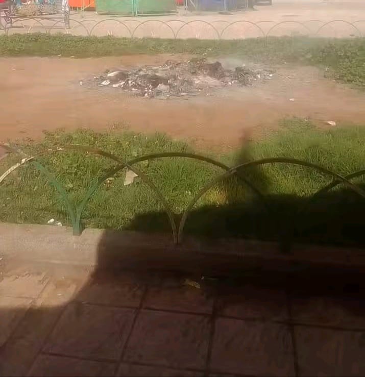 IMG 20250409 WA0041