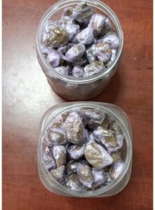 IMG 20250409 WA0061