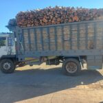 IMG 20250421 WA0088
