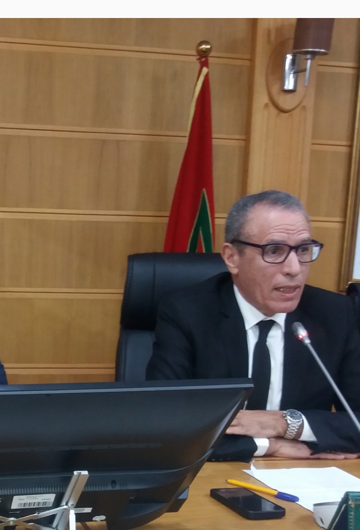 الدكتور بوشتى المومني يؤكد على أهمية المرصد الجهوي لليقظة الاستراتيجية والذكاء الترابي 1 IMG 20250429 WA0065