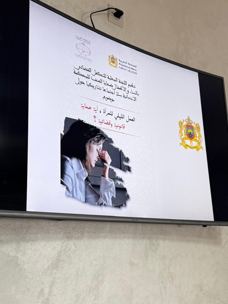 العمل الليلي للمرأة أية حماية قانونية وقضائية، تحت مجهر اللجنة المحلية للتكفل القضاء بالنساء واللجنة الإقليمية للشغل بسلا 6 b30da2f9 f420 453e abe1 94eb5847db2a
