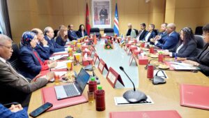 1000233256 3 1000233256