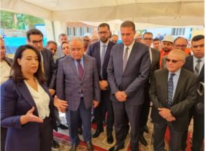 1000235335 3 1000235335