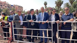 1000240958 3 1000240958