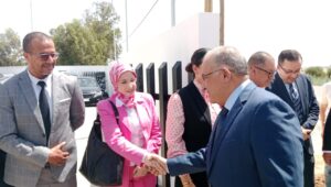 1000248653 3 1000248653